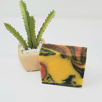 Desert Oasis Handmade Soap Bar with Activated Charcoal